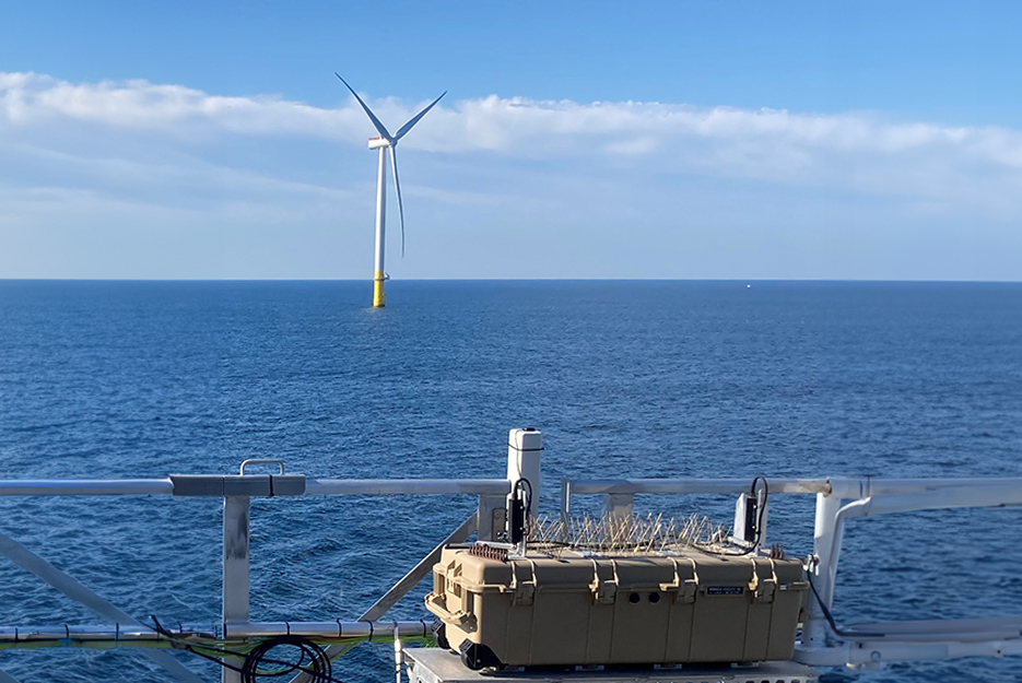 Coastal Virginia Offshore Wind Bird and Bat Post Construction Monitoring Study