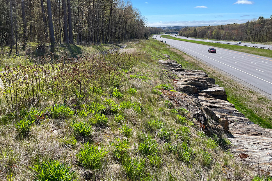 NHDOT Derry – Londonderry Exit 4A Interchange