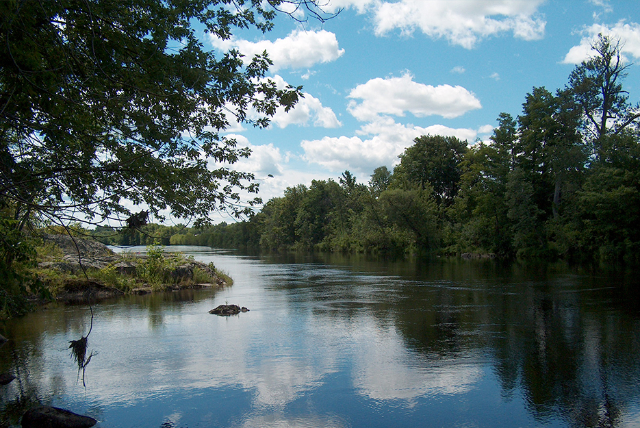 Penobscot River and Penobscot Estuary Comprehensive Environmental Field Sampling for Mercury Study, Millinocket to Isleboro, Maine