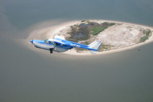 Pilot Study of Aerial High-Definition Surveys for Seabirds, Marine Mammals, and Sea Turtles BOEM