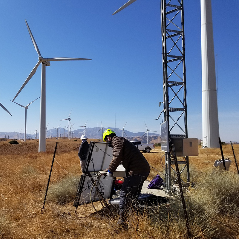 California Condors and Wind Power