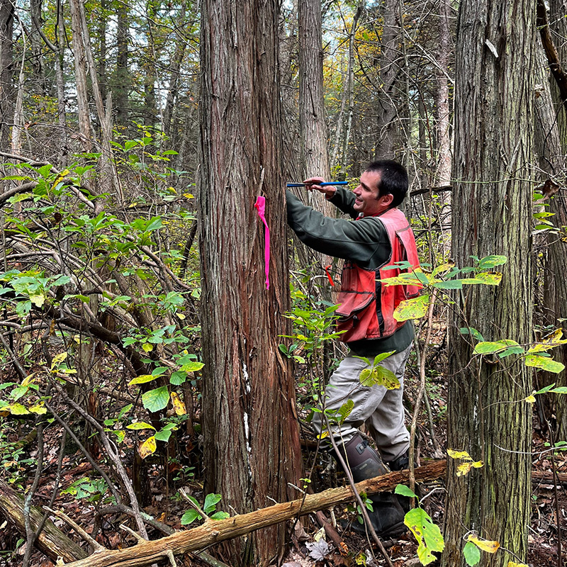 Experts in Ecosystems 