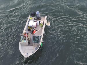Ice Harbor Dam Turbine Biotesting