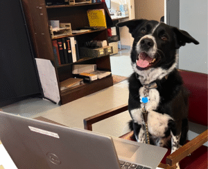 Normandeau’s “Paws-itive” Pet Policy