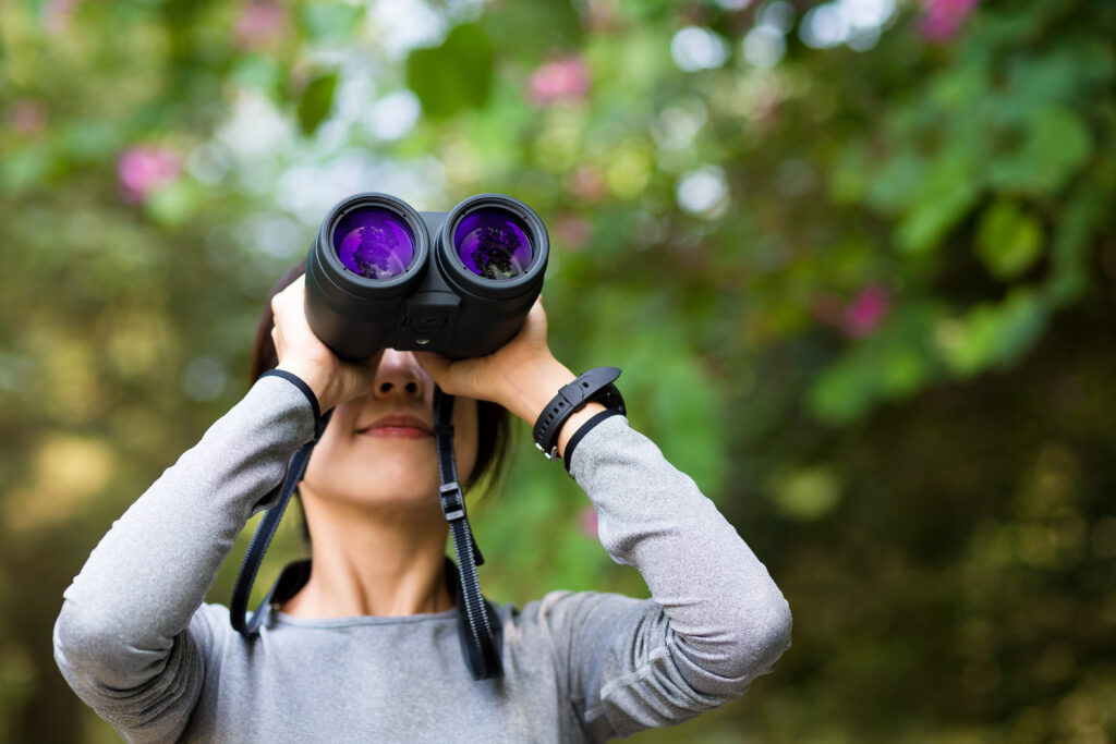 The Power of Perspective: A Women’s History Month Tribute